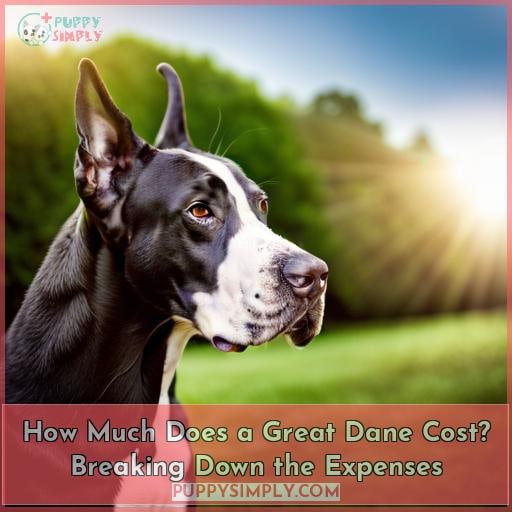 How Much Does a Great Dane Cost? Breaking Down the Expenses