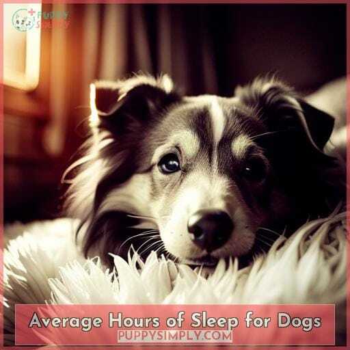 Average Hours of Sleep for Dogs Average Hours of Sleep for Dogs