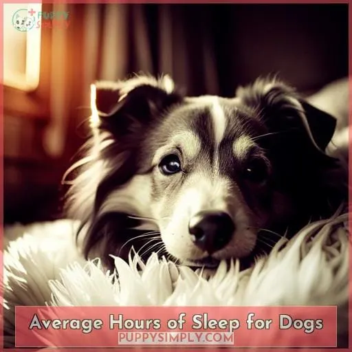 Average Hours of Sleep for Dogs