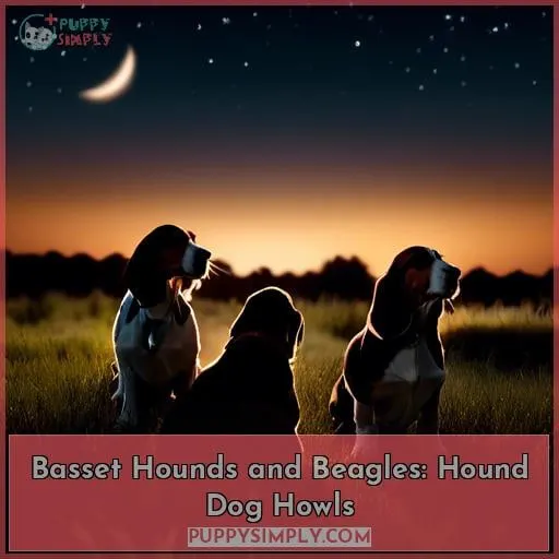 Basset Hounds and Beagles: Hound Dog Howls