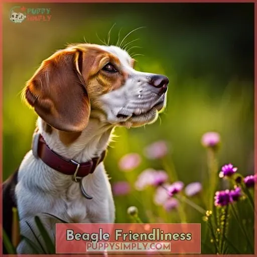 Beagle Friendliness