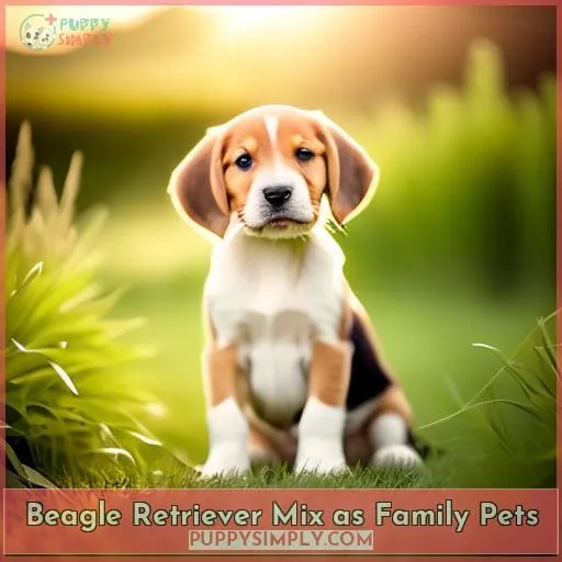 Beagle Retriever Mix as Family Pets