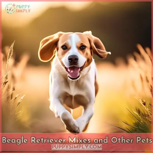 Beagle Retriever Mixes and Other Pets