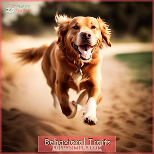 Behavioral Traits