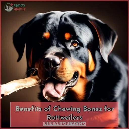 Benefits of Chewing Bones for Rottweilers