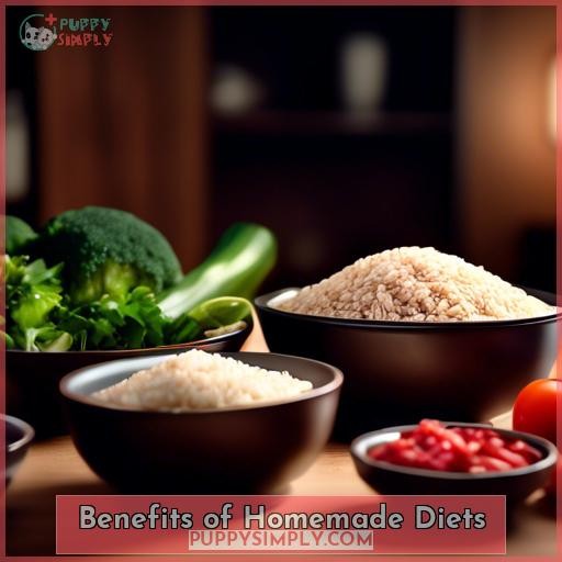 Benefits of Homemade Diets