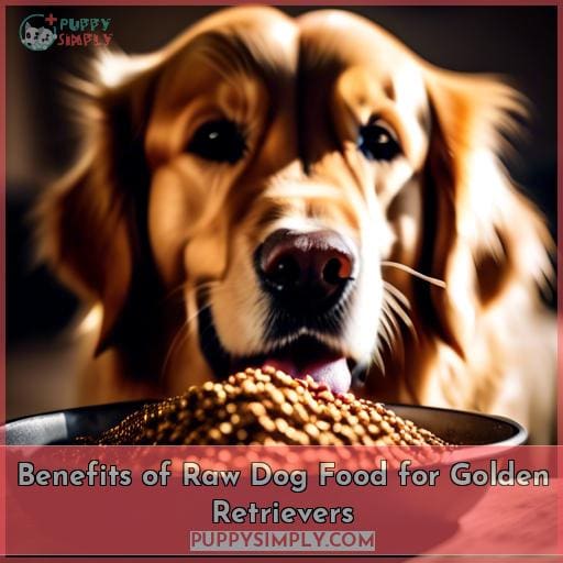 Benefits of Raw Dog Food for Golden Retrievers