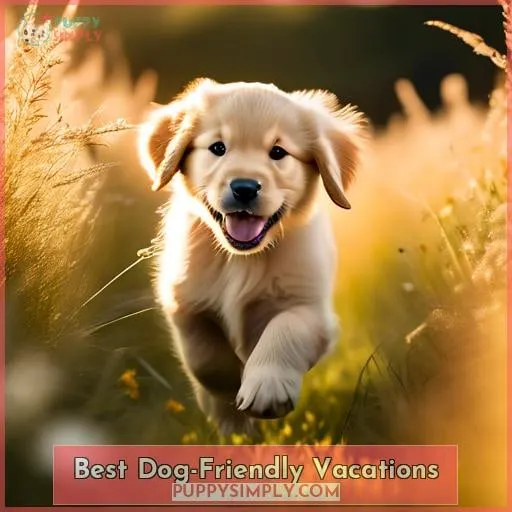 Best Dog-Friendly Vacations