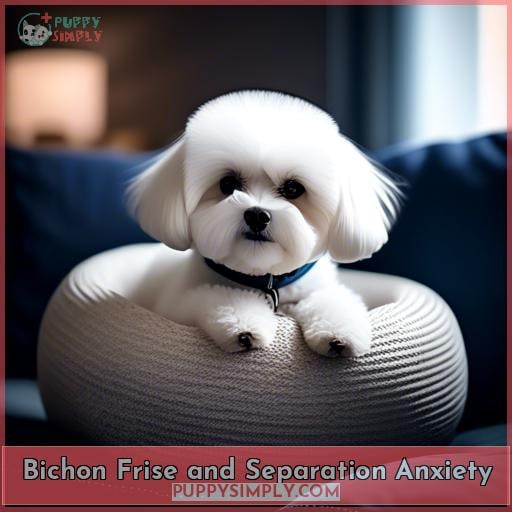 Bichon Frise and Separation Anxiety