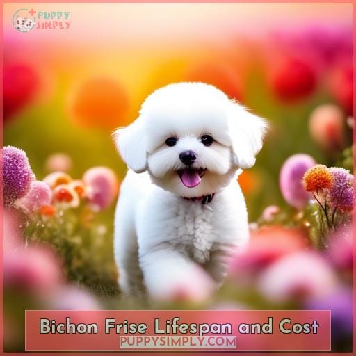 Bichon Frise Lifespan and Cost