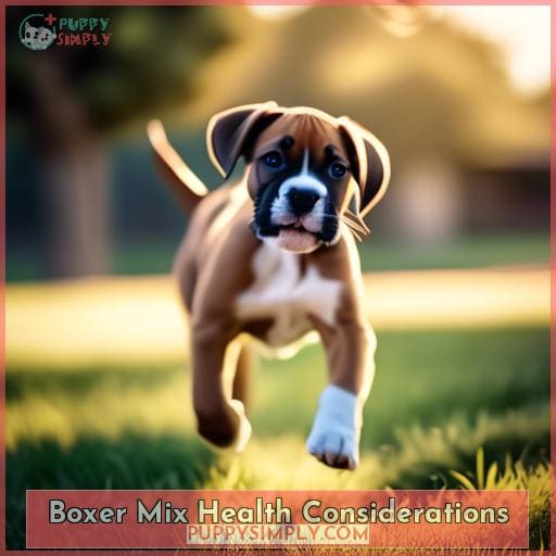 Boxer Mix Health Considerations