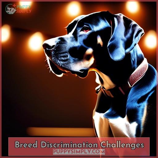 Breed Discrimination Challenges