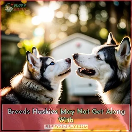 Breeds Huskies May Not Get Along With