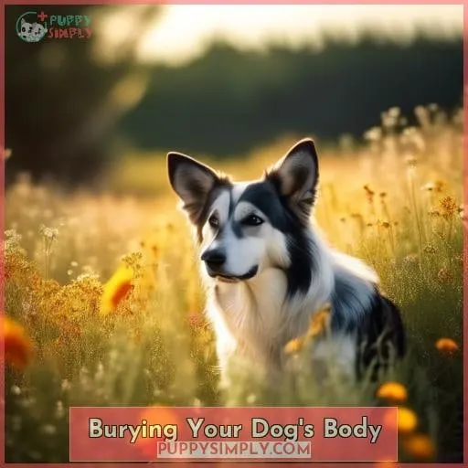 Burying Your Dog