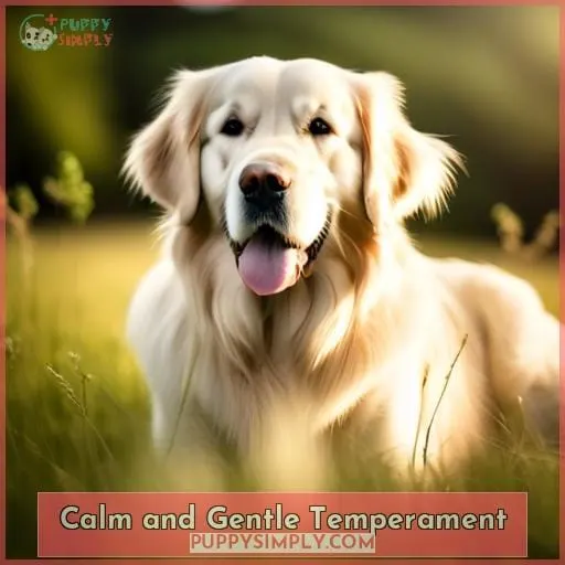 Calm and Gentle Temperament