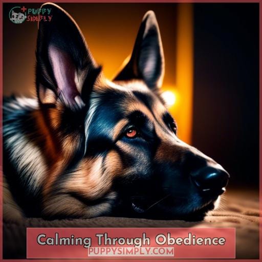 Calming Through Obedience