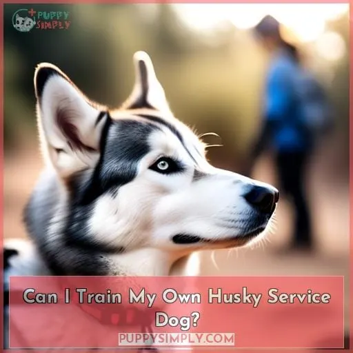 Can I Train My Own Husky Service Dog