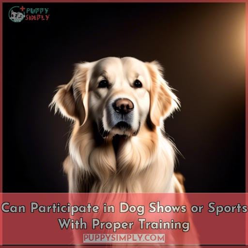 Can Participate in Dog Shows or Sports With Proper Training