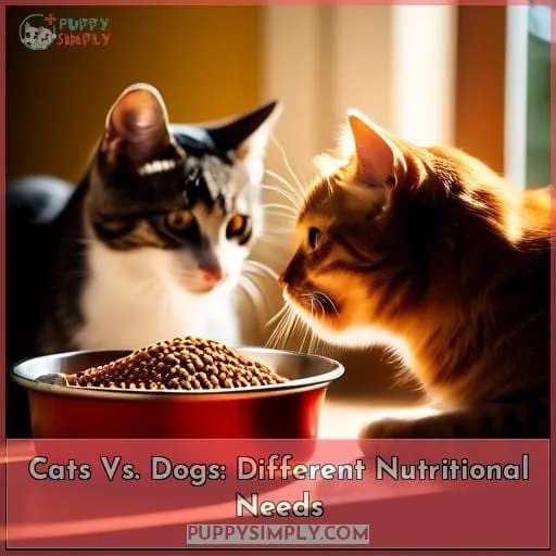 Cats Vs. Dogs: Different Nutritional Needs