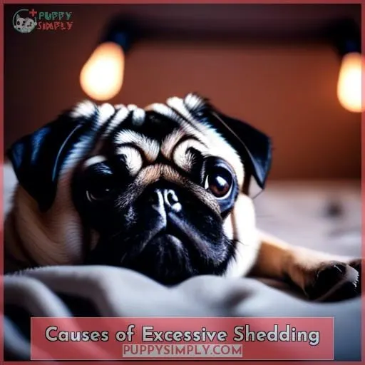 Causes of Excessive Shedding