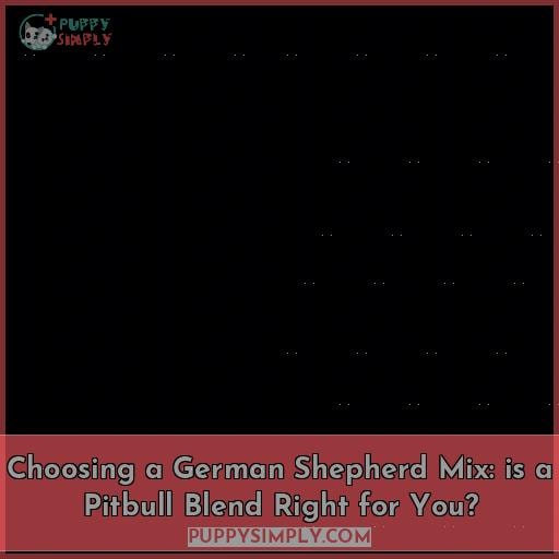 choosing a german shepherd mix breed which is best for your home choosing a german shepherd mix breed which is best for your home
