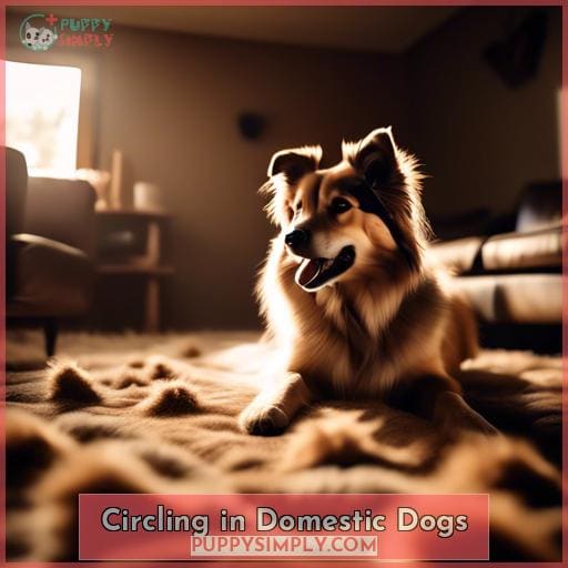 Circling in Domestic Dogs