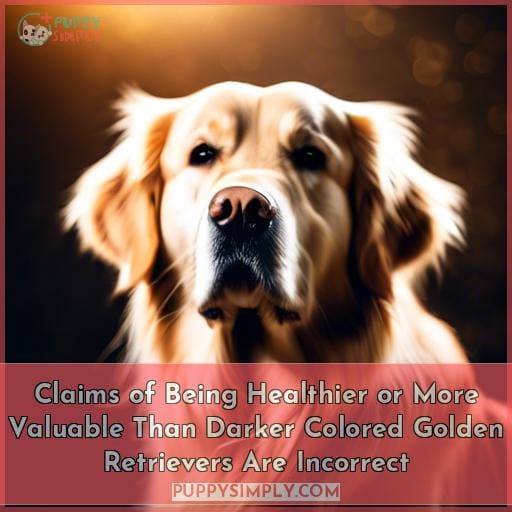 Claims of Being Healthier or More Valuable Than Darker Colored Golden Retrievers Are Incorrect