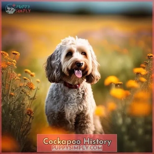 Cockapoo History