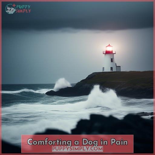Comforting a Dog in Pain