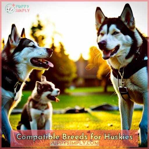 Compatible Breeds for Huskies Compatible Breeds for Huskies