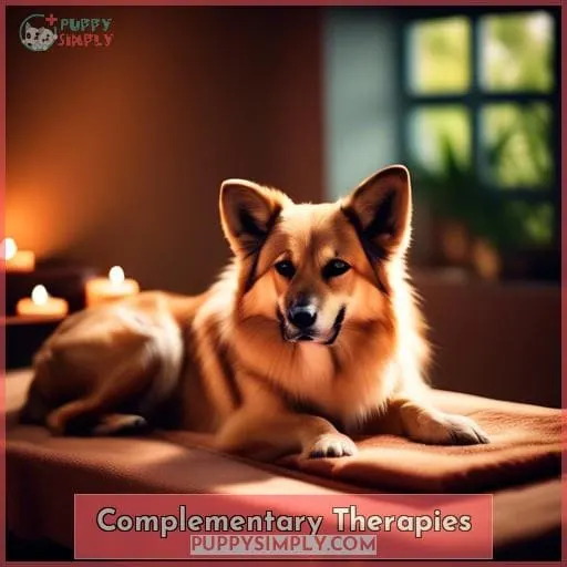 Complementary Therapies