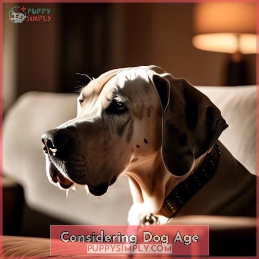 Considering Dog Age