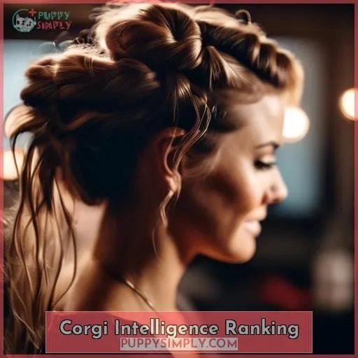 Corgi Intelligence Ranking