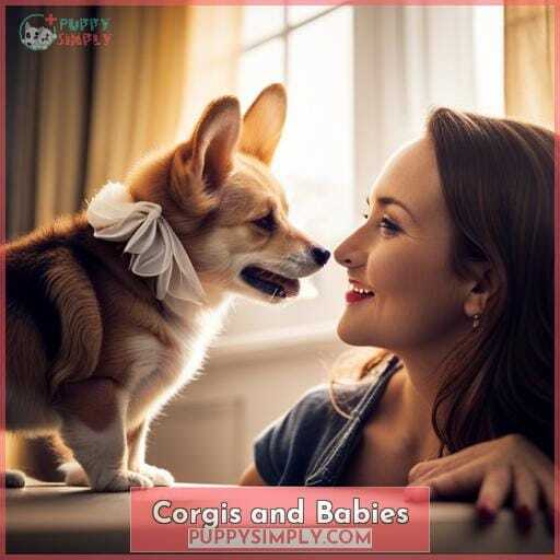 Corgis and Babies Corgis and Babies