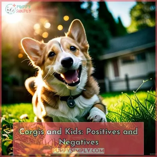 Corgis and Kids: Positives and Negatives