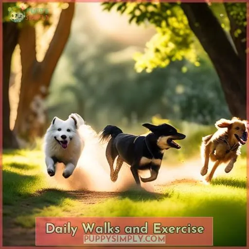 Daily Walks and Exercise