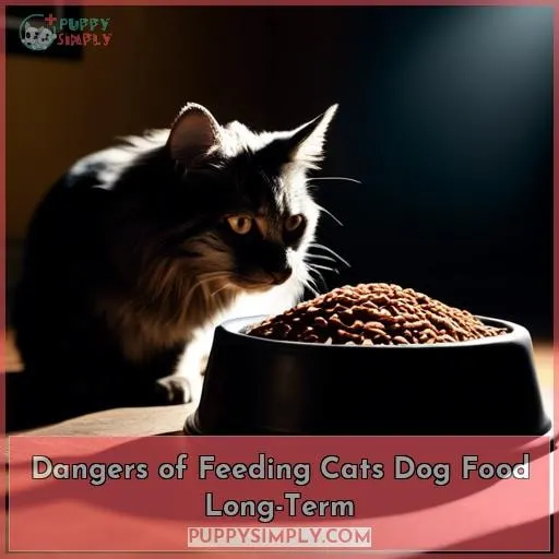 Dangers of Feeding Cats Dog Food Long-Term