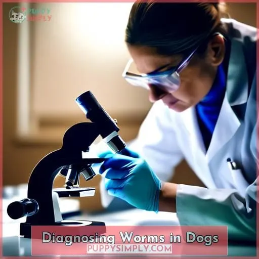 Diagnosing Worms in Dogs