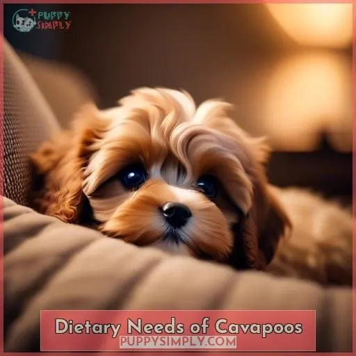 Dietary Needs of Cavapoos