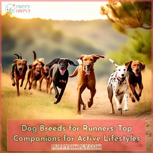 dog breeds that make good running companions
