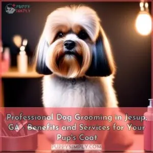 dog grooming