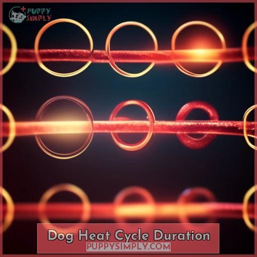 Dog Heat Cycle Duration