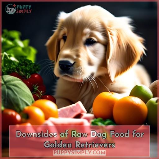 Downsides of Raw Dog Food for Golden Retrievers