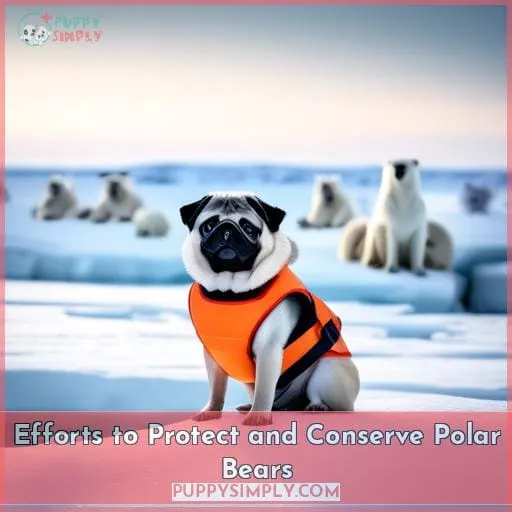 Efforts to Protect and Conserve Polar Bears