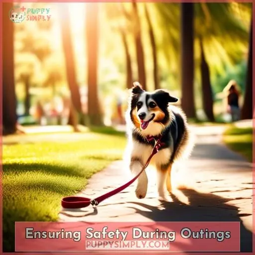Ensuring Safety During Outings
