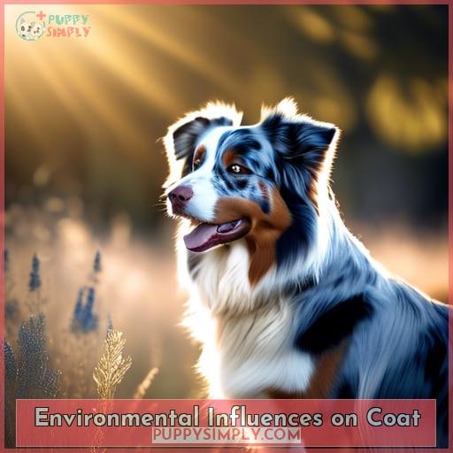 Environmental Influences on Coat Environmental Influences on Coat