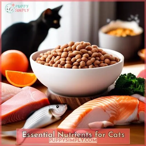 Essential Nutrients for Cats