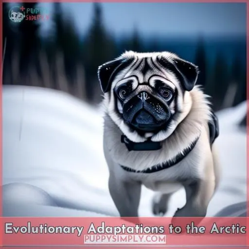 Evolutionary Adaptations to the Arctic