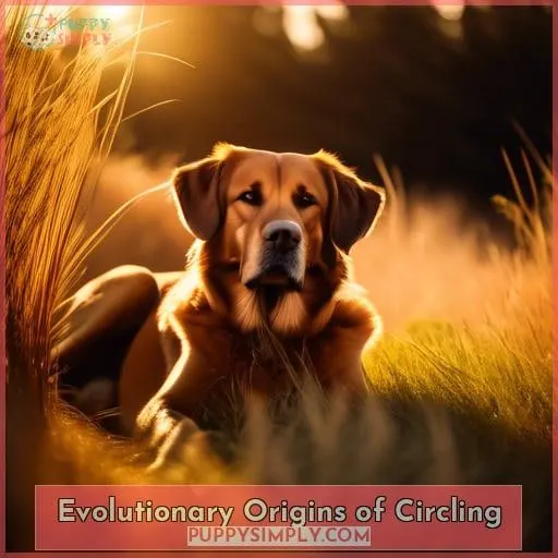 Evolutionary Origins of Circling