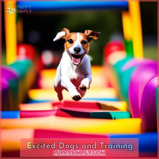 Excited Dogs and Training